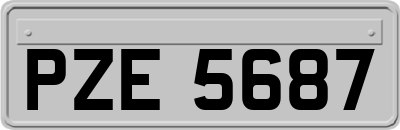 PZE5687