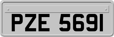 PZE5691