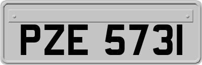 PZE5731