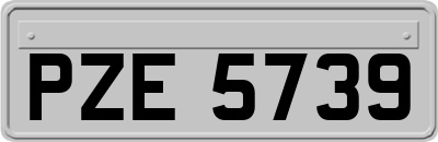 PZE5739