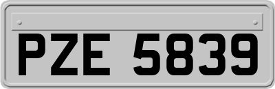 PZE5839