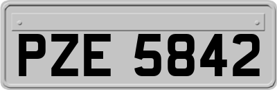 PZE5842