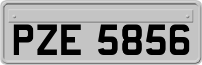 PZE5856