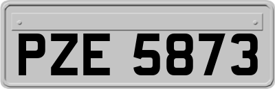 PZE5873