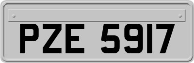 PZE5917
