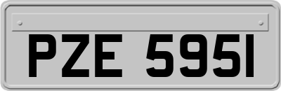 PZE5951
