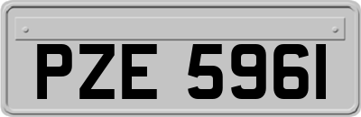 PZE5961