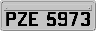 PZE5973