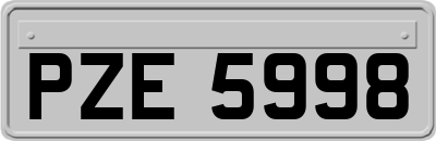 PZE5998
