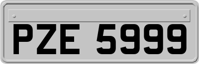 PZE5999