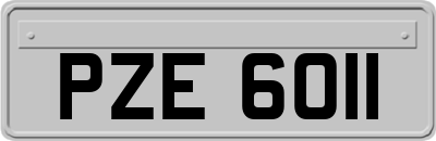 PZE6011
