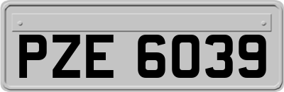 PZE6039