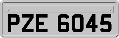 PZE6045