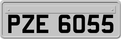 PZE6055