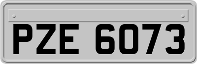 PZE6073