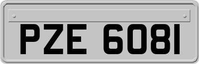 PZE6081
