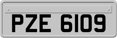 PZE6109