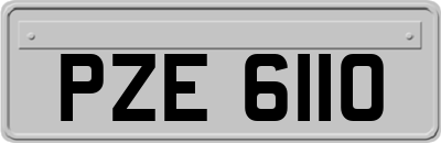 PZE6110