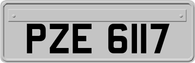 PZE6117