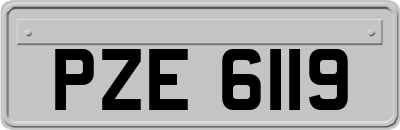 PZE6119