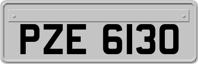 PZE6130
