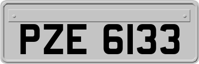 PZE6133