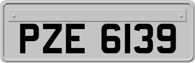 PZE6139