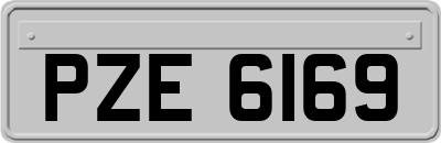 PZE6169