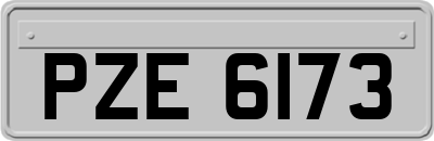 PZE6173