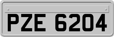 PZE6204