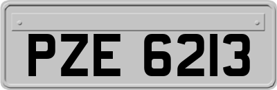 PZE6213
