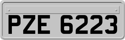 PZE6223