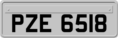 PZE6518
