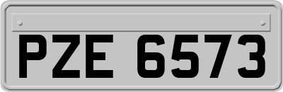 PZE6573