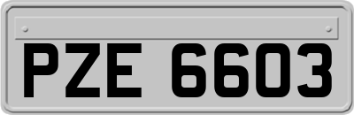 PZE6603