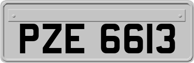 PZE6613
