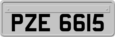 PZE6615