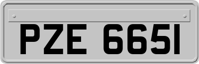 PZE6651