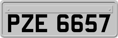 PZE6657