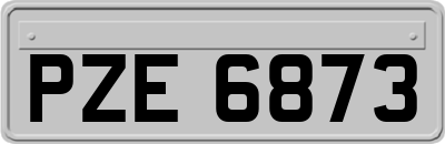 PZE6873