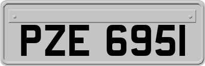 PZE6951