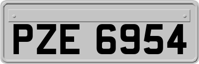 PZE6954