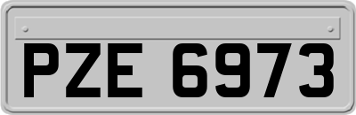 PZE6973