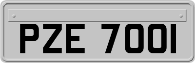 PZE7001
