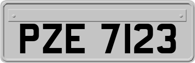 PZE7123