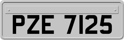 PZE7125