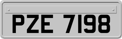 PZE7198