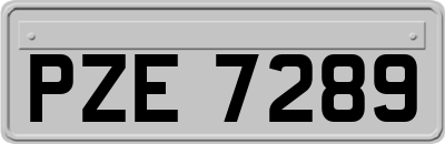 PZE7289