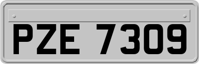 PZE7309