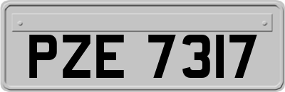PZE7317